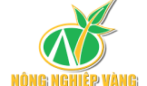 Nông nghiệp vàng